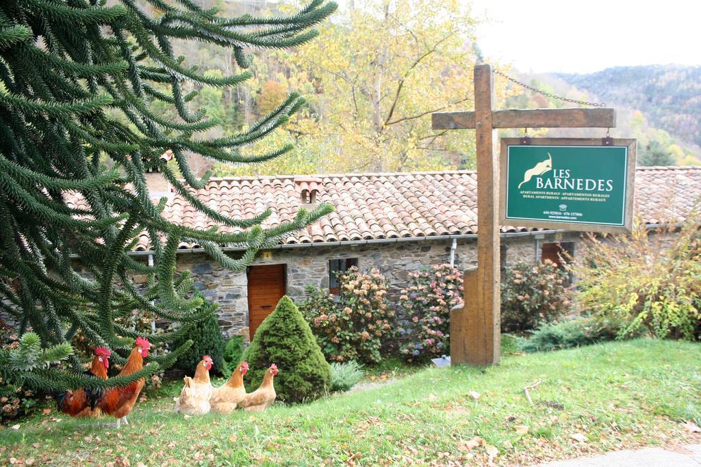 Apartamentos Rurales Les Barnedes Molló Εξωτερικό φωτογραφία