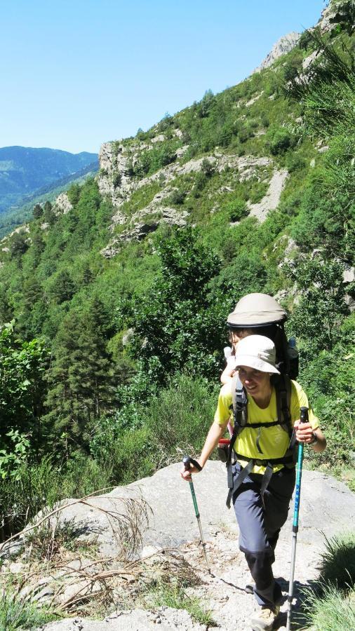 Apartamentos Rurales Les Barnedes Molló Εξωτερικό φωτογραφία